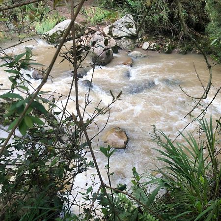 Titue Refugio , Cabanas La Calera Ngoại thất bức ảnh